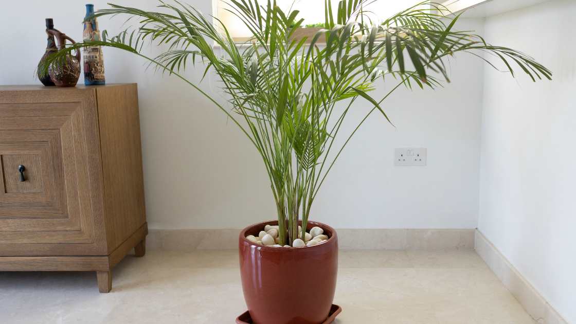 artificial bamboo plants
