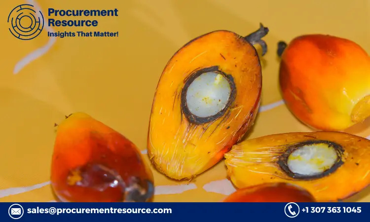 Navigating the Market: Crude Palm Kernel Oil Prices, Trends, and Forecasts Explained