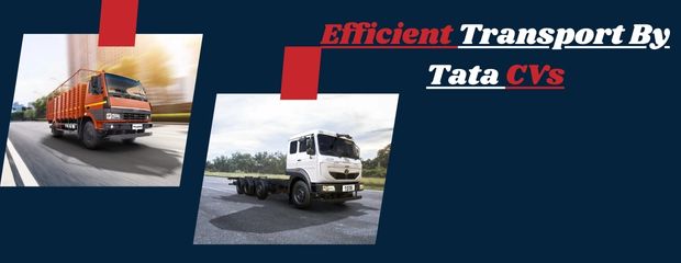 Efficient Transport By Tata CVs: Facilitating Steel Logistics