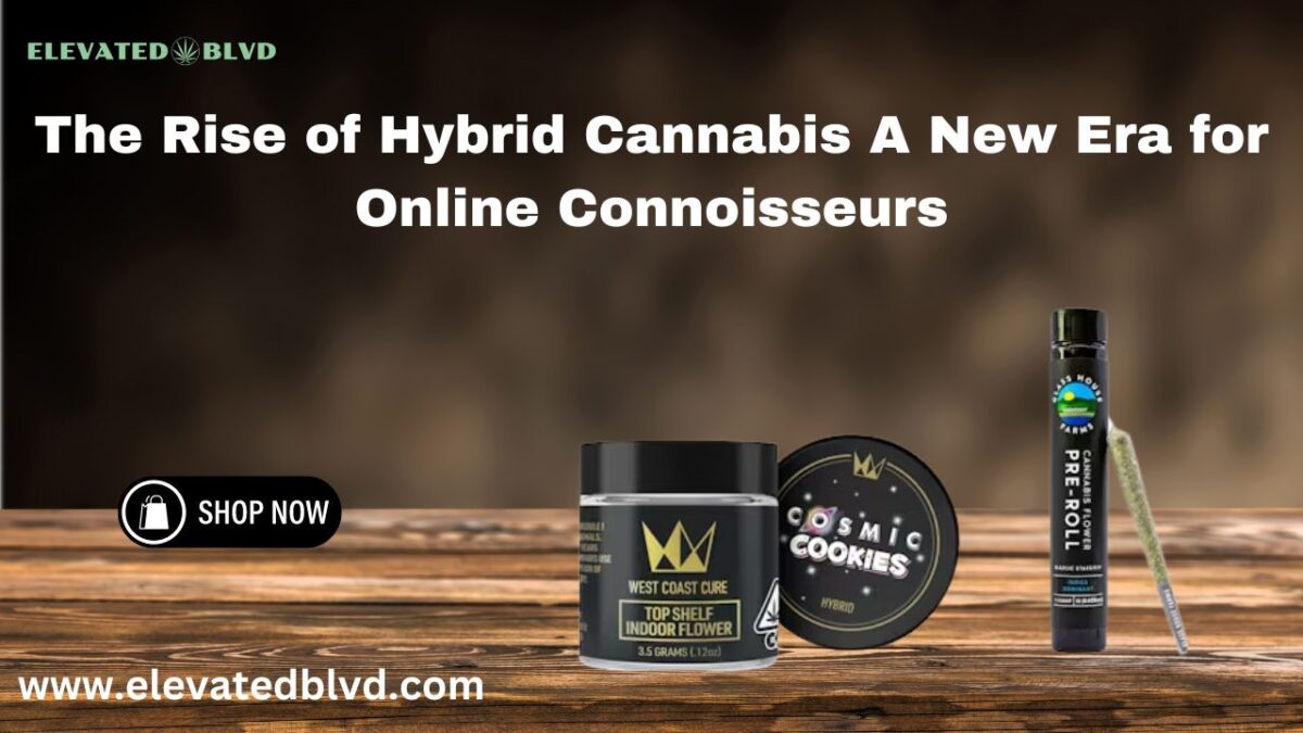 The Rise of Hybrid Cannabis A New Era for Online Connoisseurs