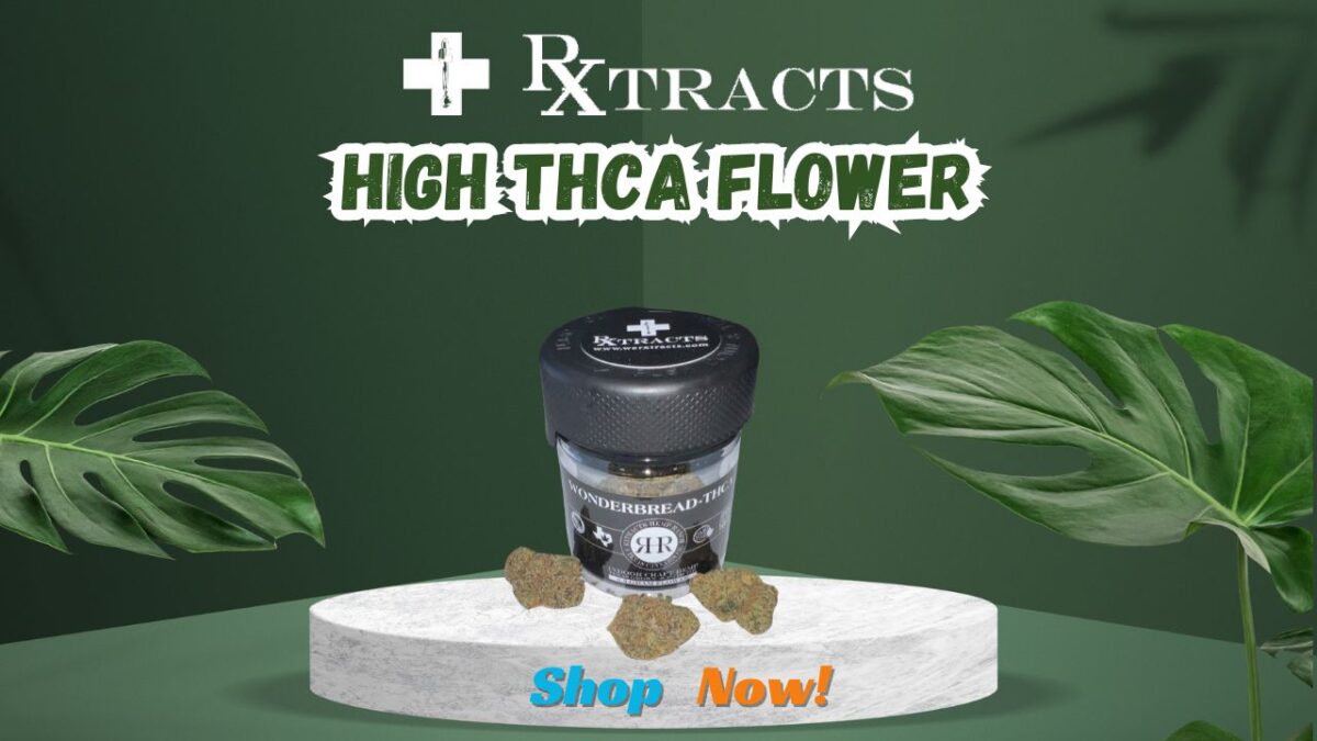 Discover the Pinnacle of Hemp with Rxtracts’ High THCA Flower