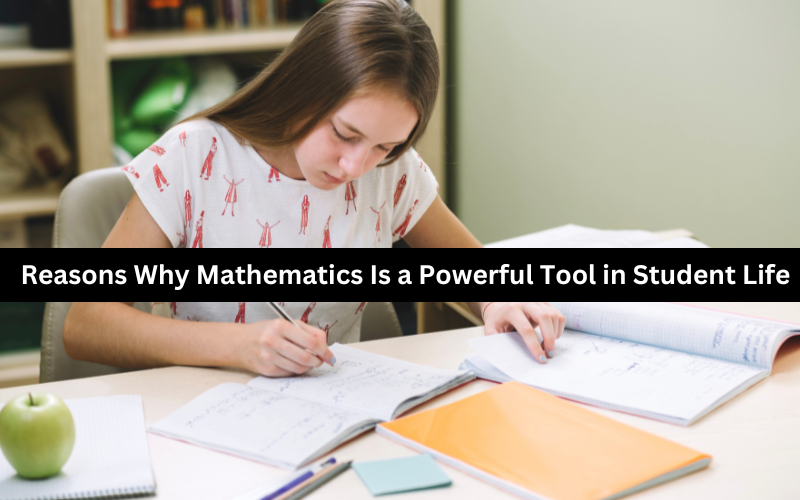 How Math Homework Is a Powerful Tool in Student Life? Know Here