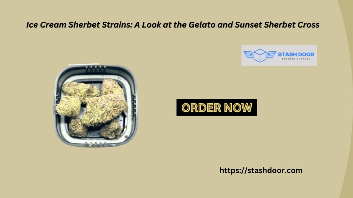 Ice Cream Sherbet Strains: A Look at the Gelato and Sunset Sherbet Cross