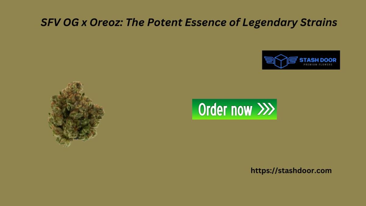SFV OG x Oreoz: The Potent Essence of Legendary Strains