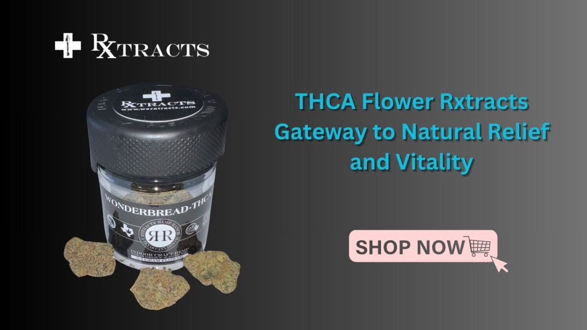 THCA Flower Rxtracts Gateway to Natural Relief and Vitality
