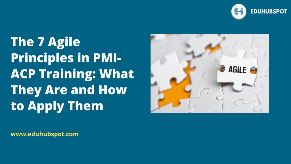 The 7 Agile Principles in PMI-ACP Training: What They Are and How to Apply Them