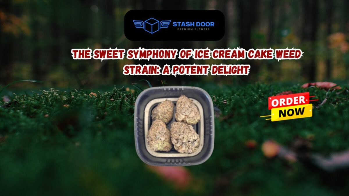 The Sweet Symphony of Ice Cream Cake Weed Strain: A Potent Delight