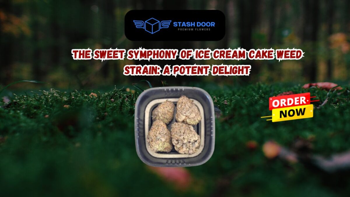 Ice Cream Cake Weed Strain