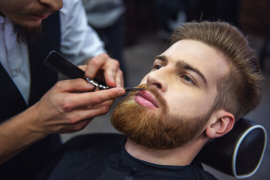 Beard Cutting Sterling Heights