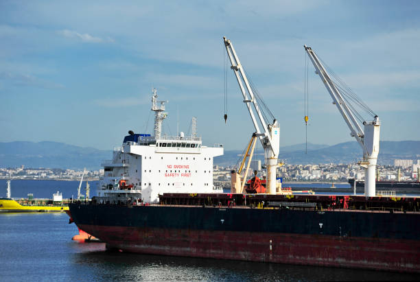Custom Global Logistics: Streamlining Your Supply Chain