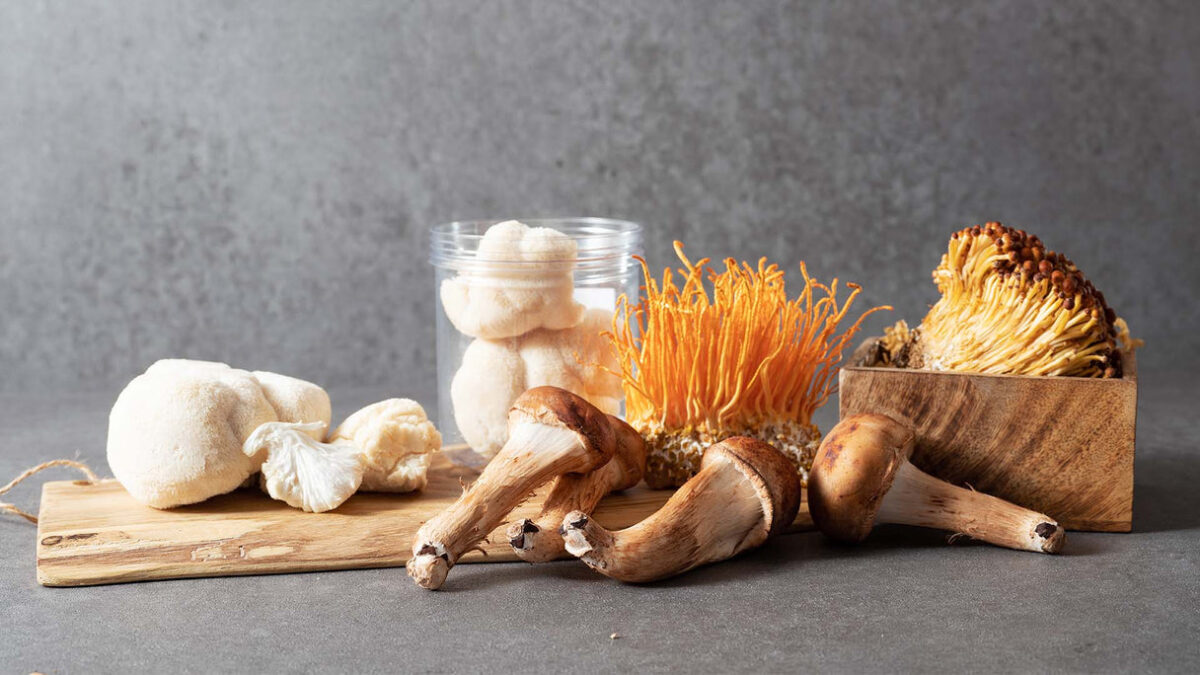 How Functional Mushrooms Can Help in Boosting Immunity and Vitality