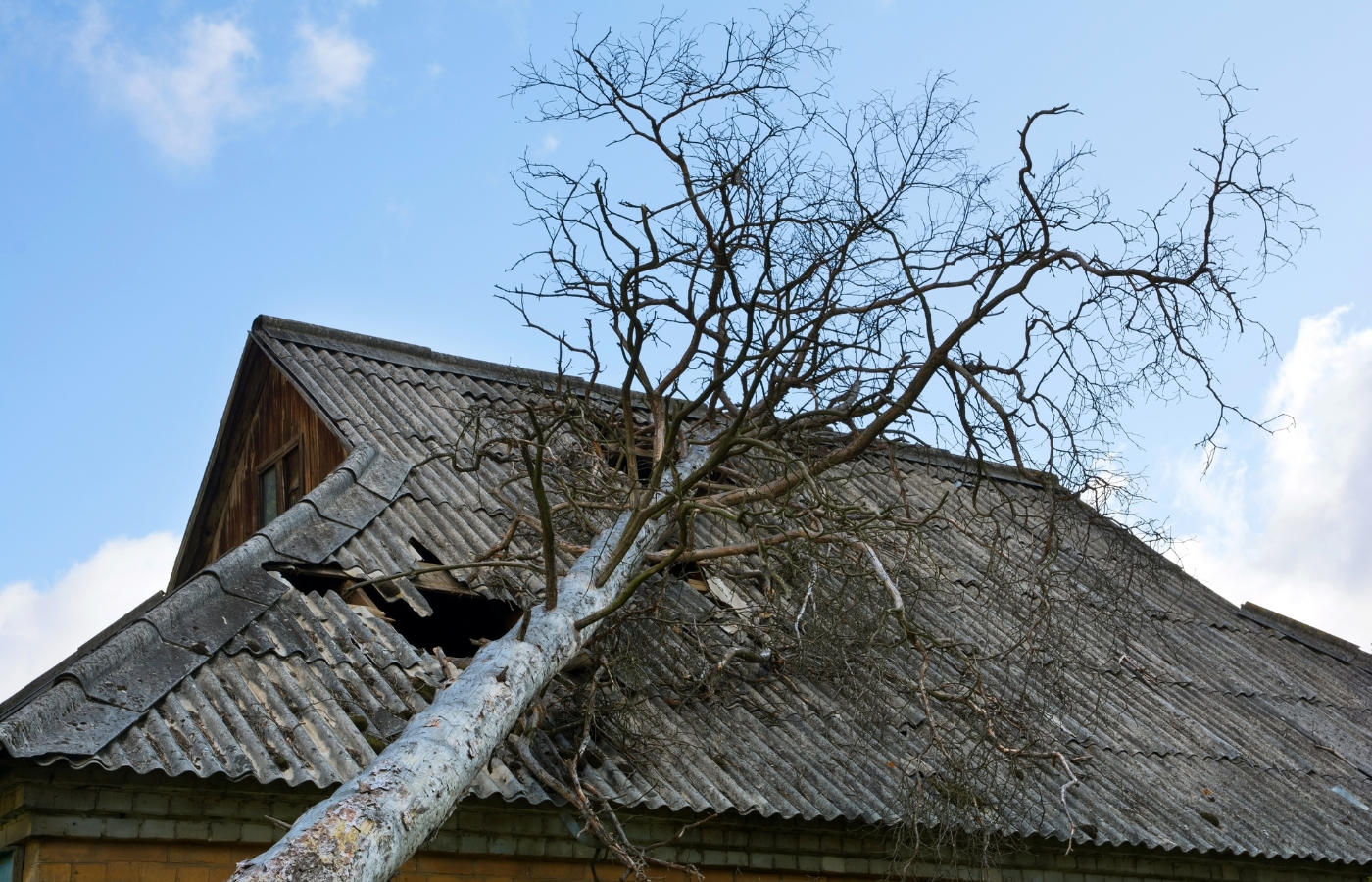 professional roofing company