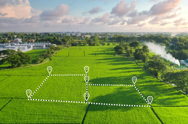 Easily Convert Hectare to Bigha | A Simple Guide