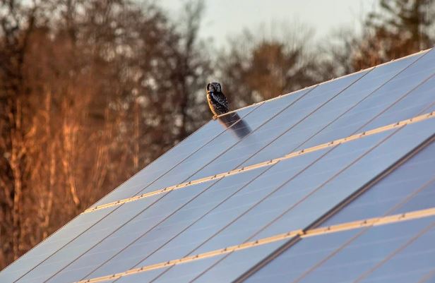 Steps to Install Solar Panels: Power Your Home the Sustainable Way