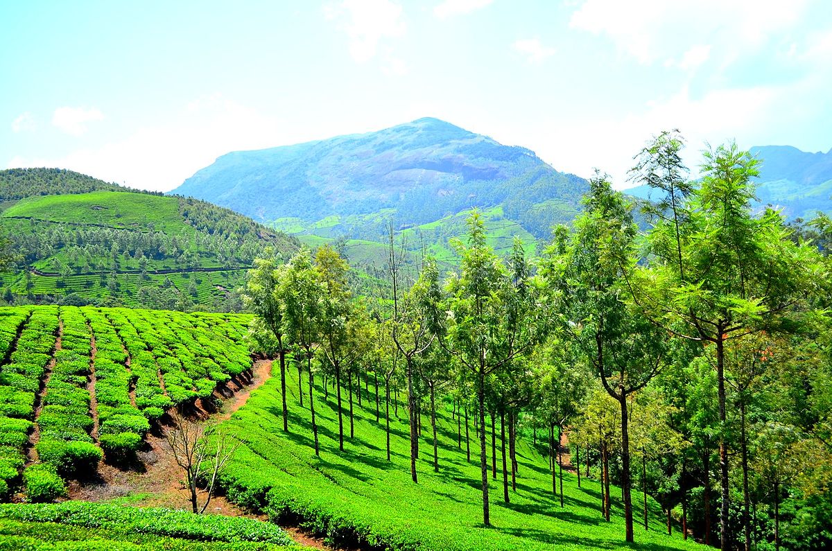 10 Mesmerising Monsoon Destinations in India You Must Explore
