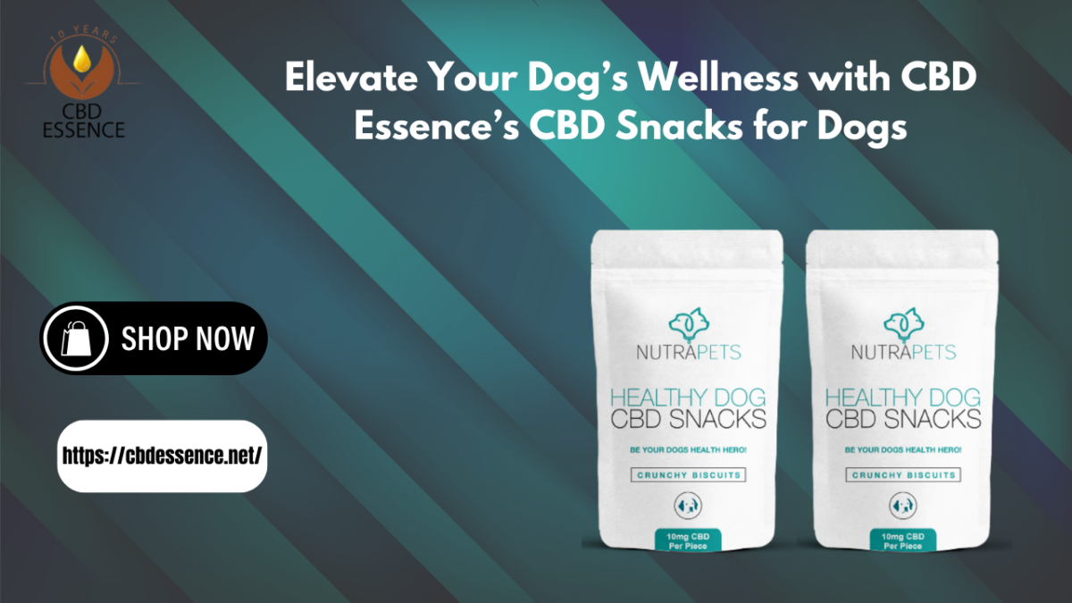 Elevate Your Dog’s Wellness with CBD Essence’s CBD Snacks for Dogs