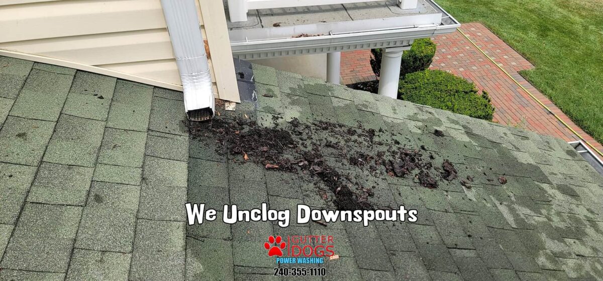 Essential Gutter Cleaning in PG County, MD: Protect Your Home from Costly Water Damage