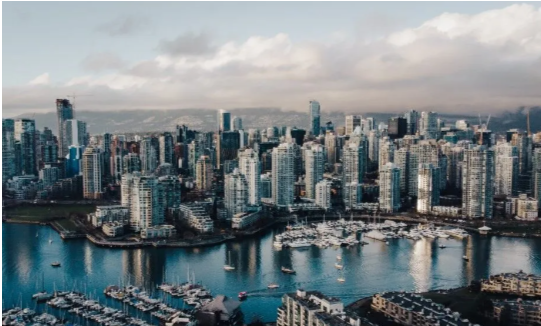 pest control service provider Vancouver