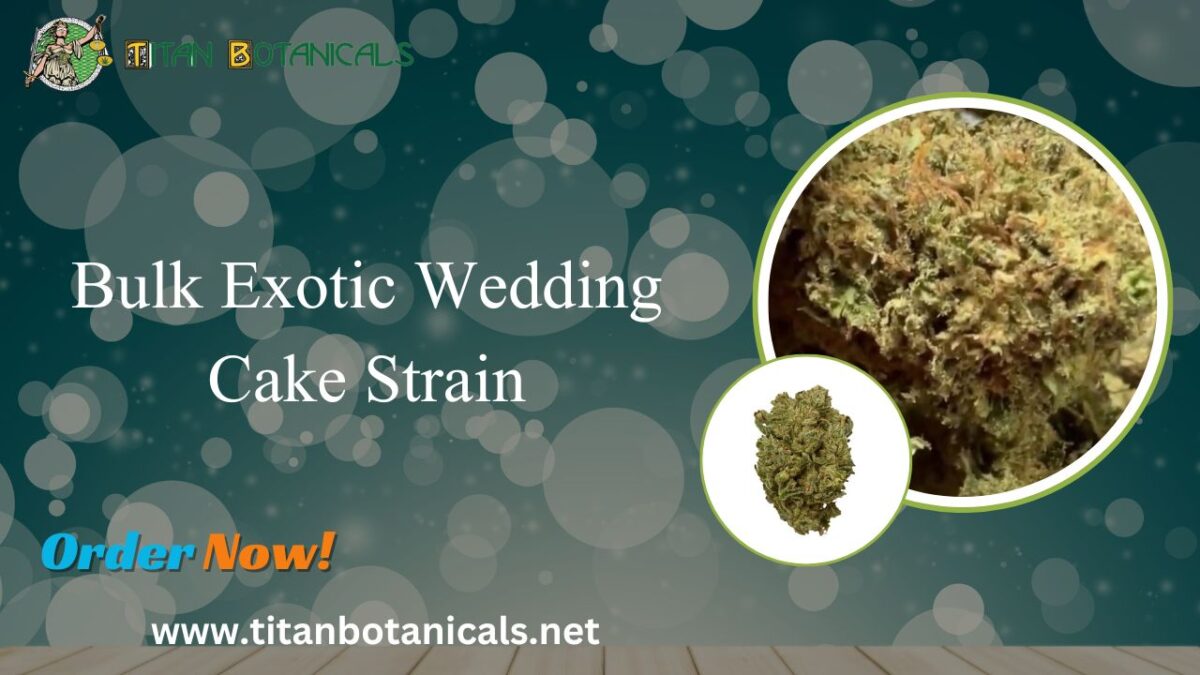 Bulk Exotic Wedding Cake Strain: A Premium Choice for Cannabis Enthusiasts