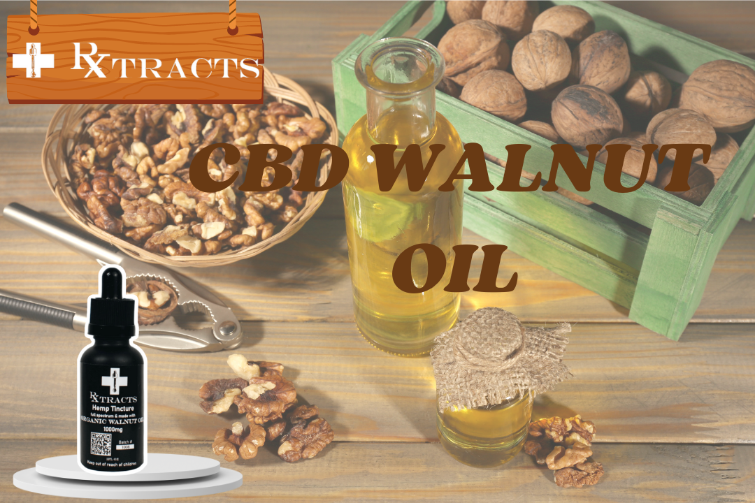 Full Spectrum Walnut CBD Oil: Organic Relief by Rxtracts