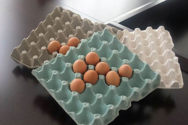 Report on Egg Tray Manufacturing Plant Setup with Cost Analysis and Requirements
