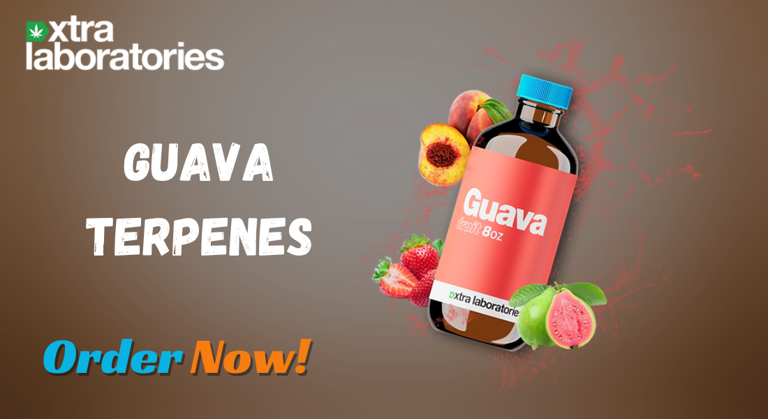 Elevate Your Creations with Guava Terpenes by Xtra Laboratories