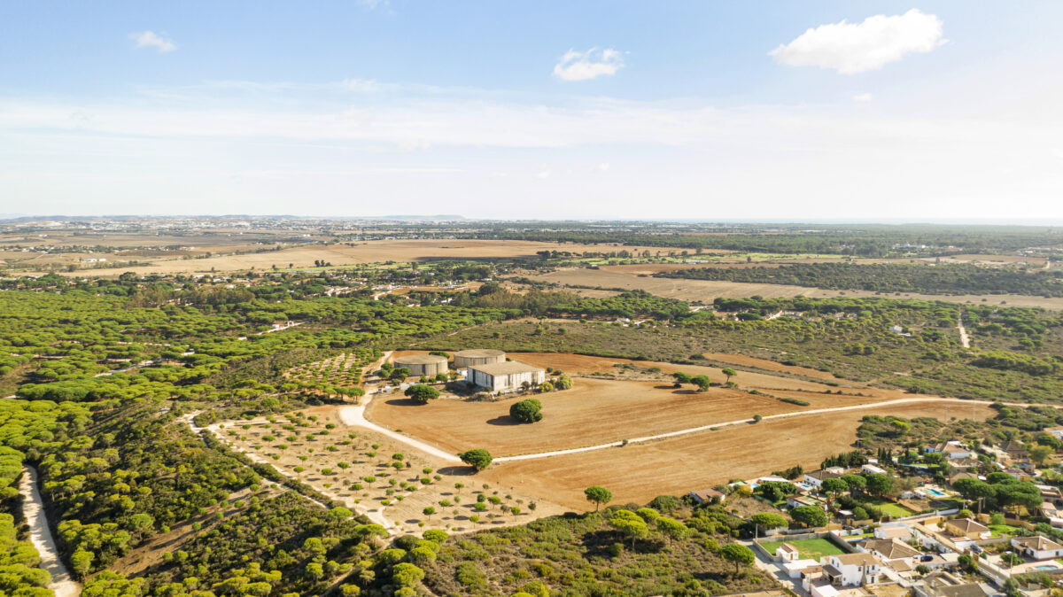 Which is the best open plot to buy in Guntur?