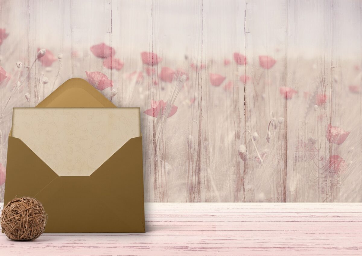 Free Email Finder