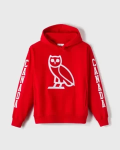 “Essentials Hoodie: Premium Comfort & Style, Perfect for Every Season”