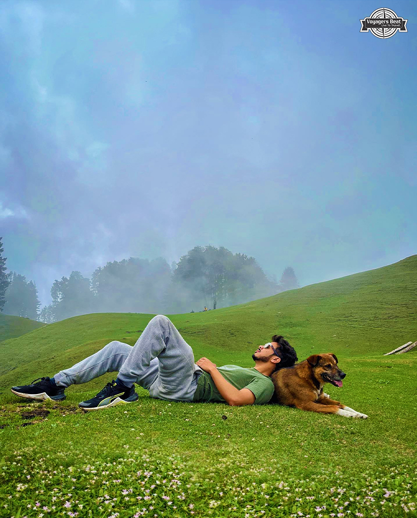 Kasol Packages