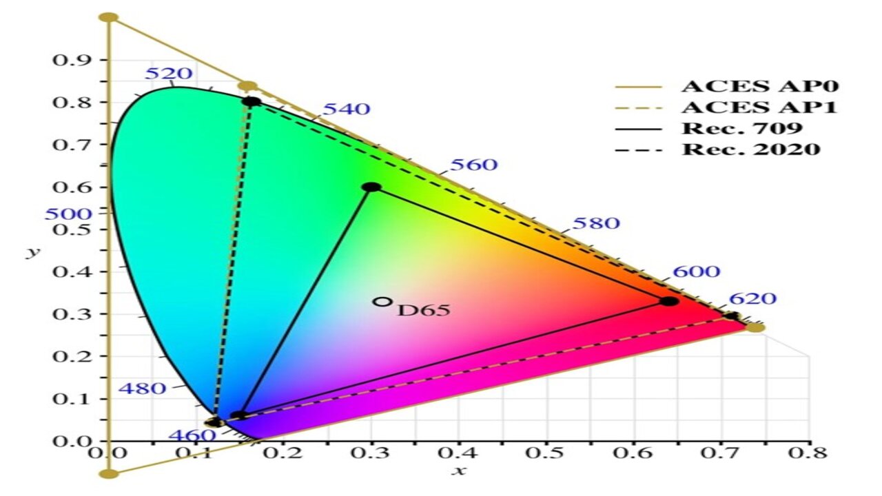 Increased Color Accuracy And Wide Gamut