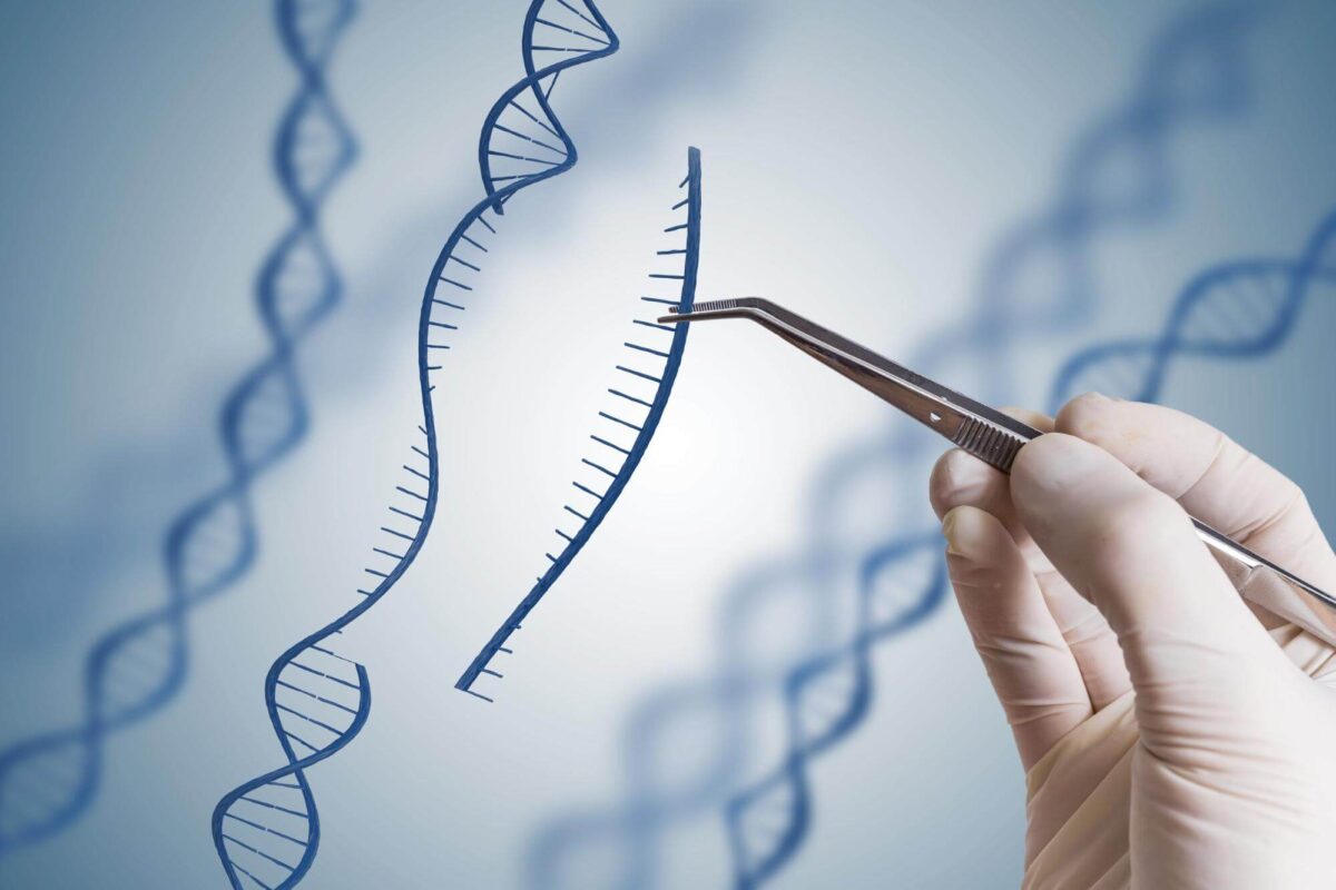 Most Popular Sequencing Library Types and Their Uses