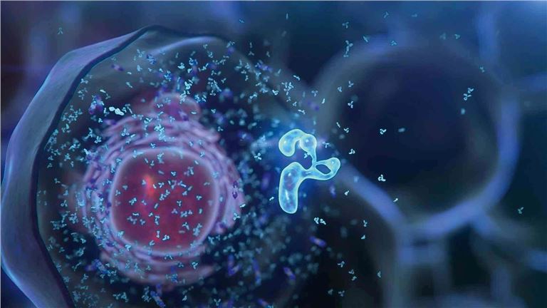 What to Expect from a Recombinant Protein Expression Service