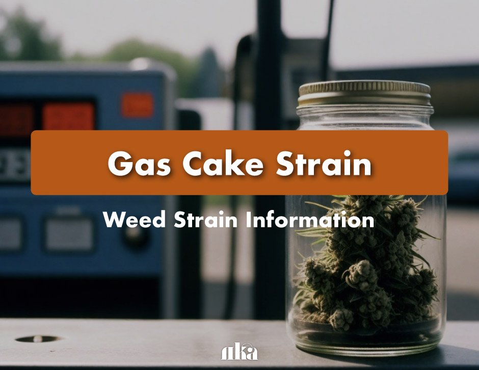 Stress Relief and Relaxation with Gas Cake Strain