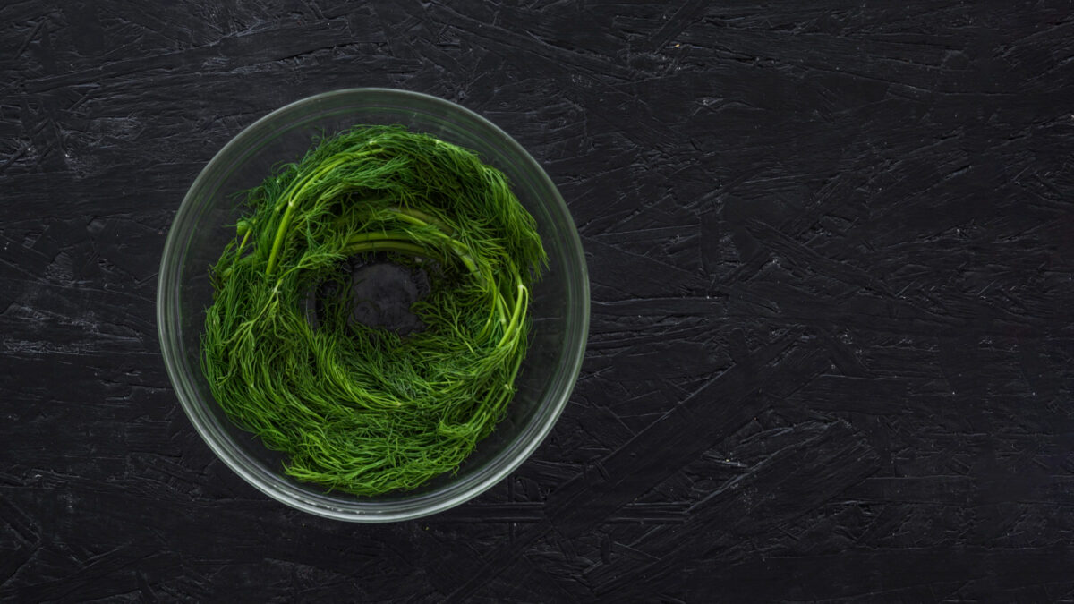 Irish Moss for Wellness: How It Can Transform Your Health