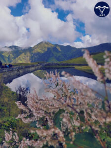 Ali Bedni Bugyal