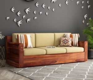 Sofa for home