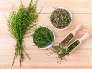 horsetail extract supplements