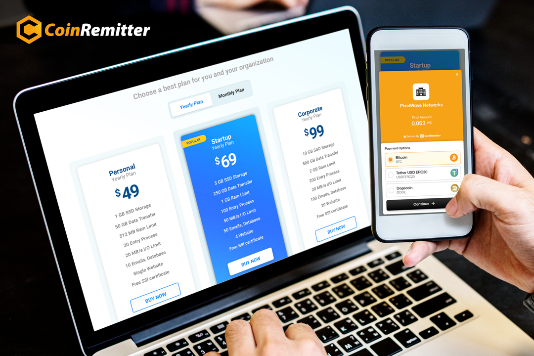 Easily Accept Payments in Cryptocurrency for Pricing Plans: Coinremitter’s ‘Pricing Widget’ Tool