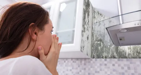Uncover Hidden Dangers: Comprehensive Mold Testing in Culver City for Health and Safety