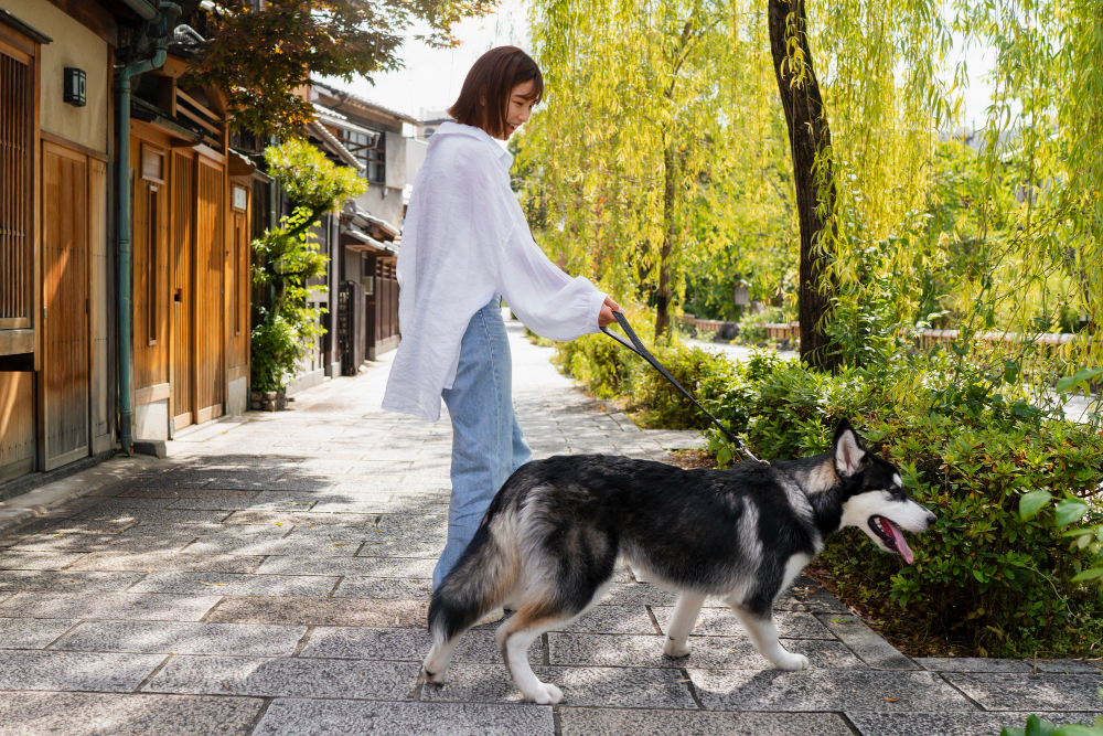 Georgia ESA Laws Explained: What Every Pet Owner Should Know