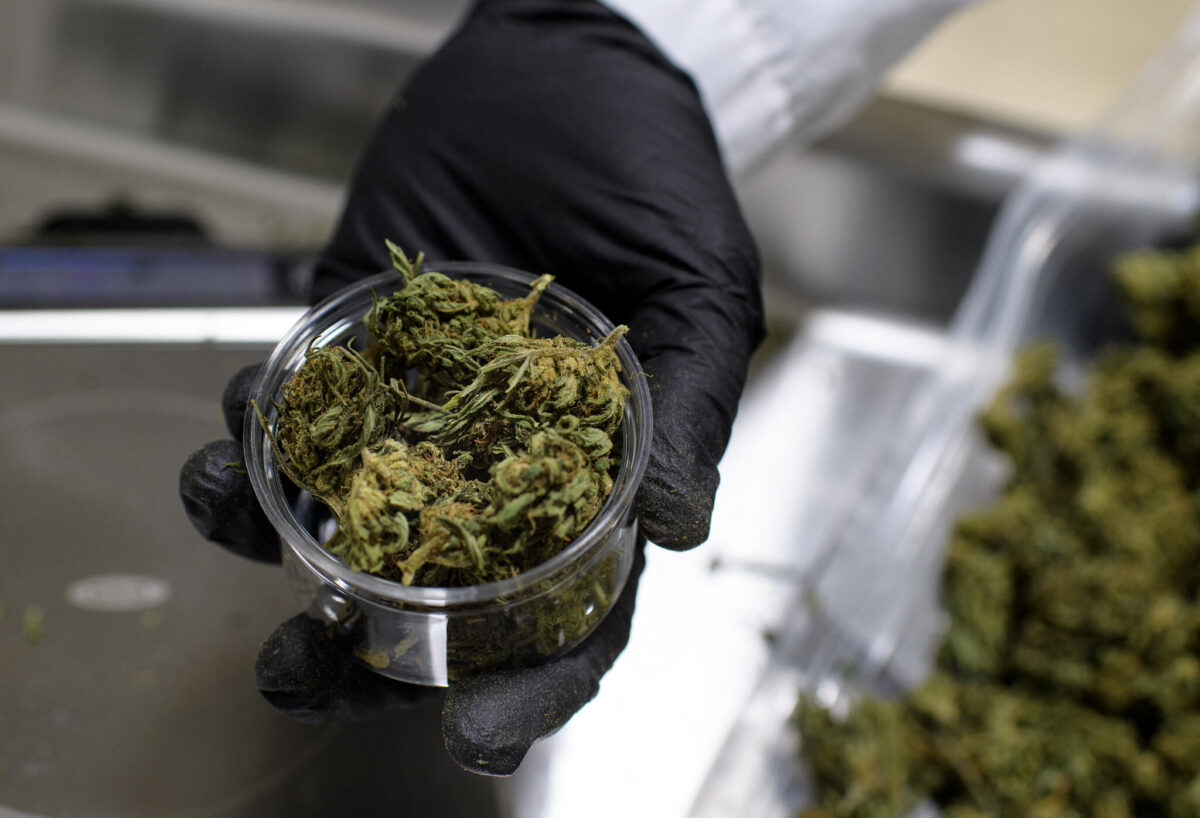 No More Delays Discover Convenient Toronto Same Day Weed Delivery