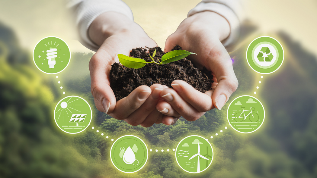 The Growth of Sustainable Bonds: Key Data You Need to Know