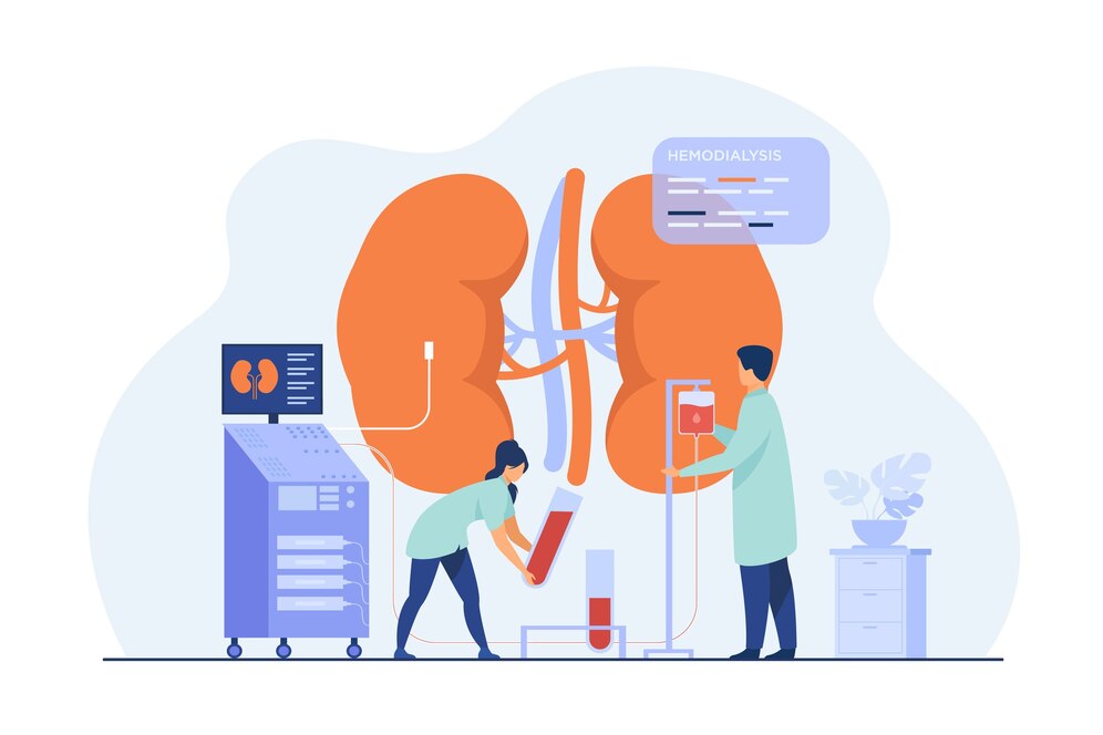 Kidney