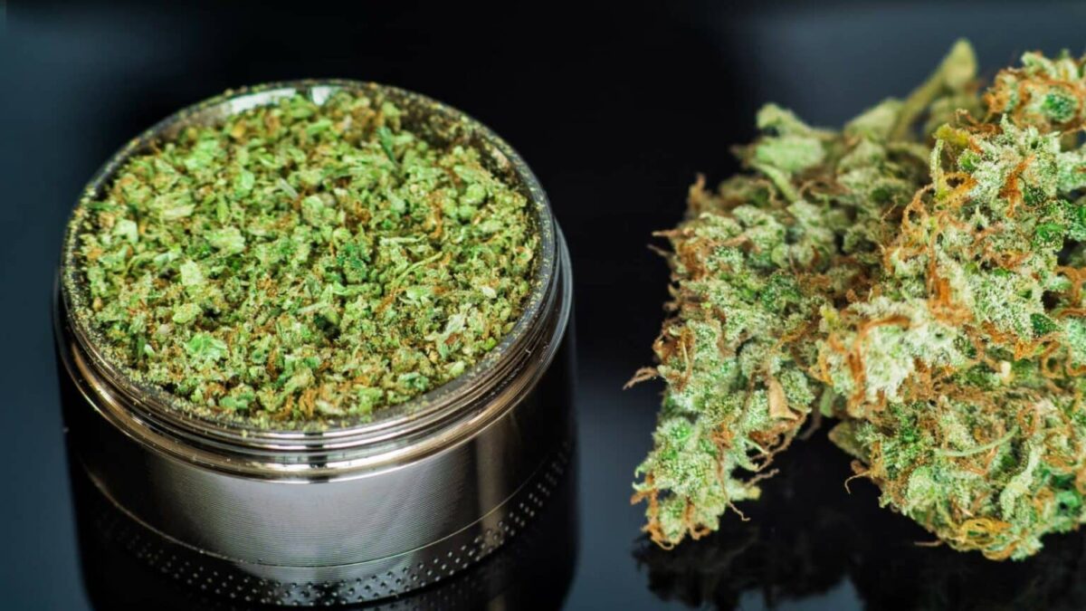 Premium Weed Delivery in Kitchener – Fast, Reliable, and Discreet