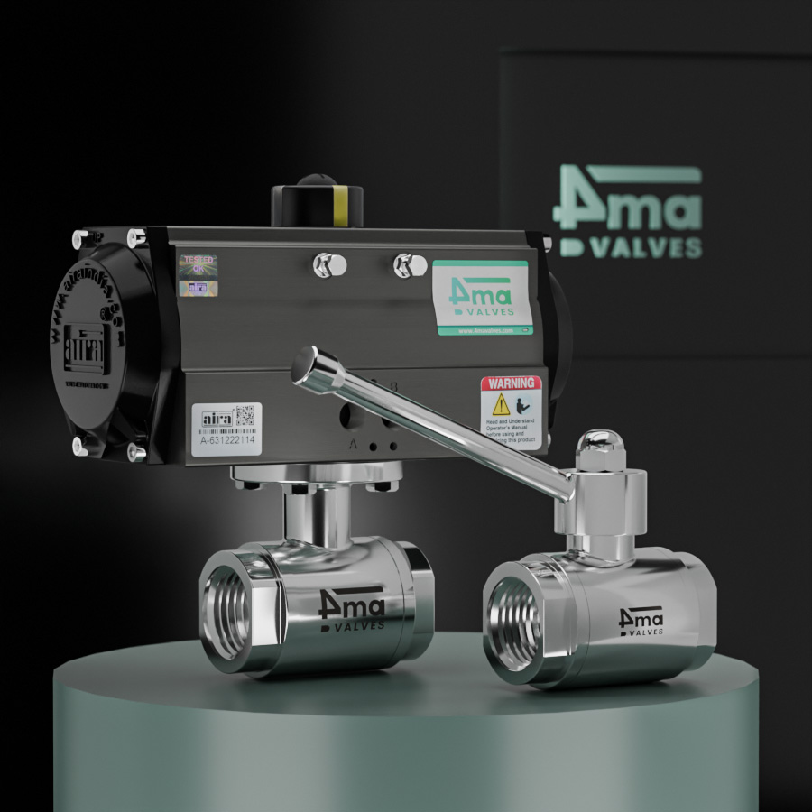 ss valve
