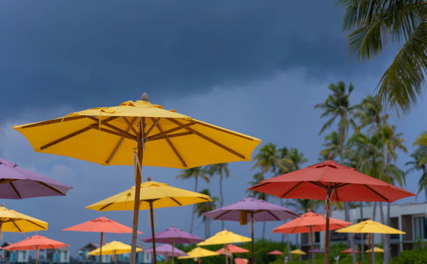 Market Umbrellas