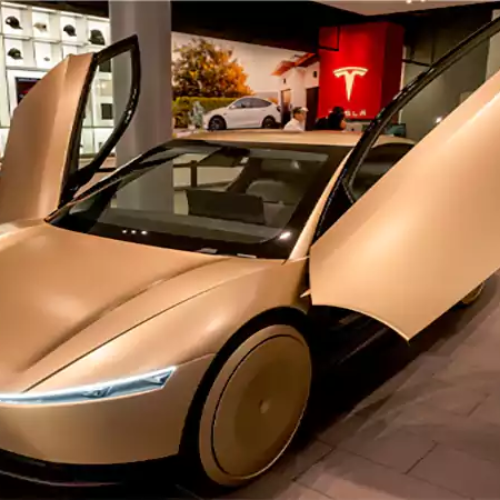 Tesla Robotaxi Service