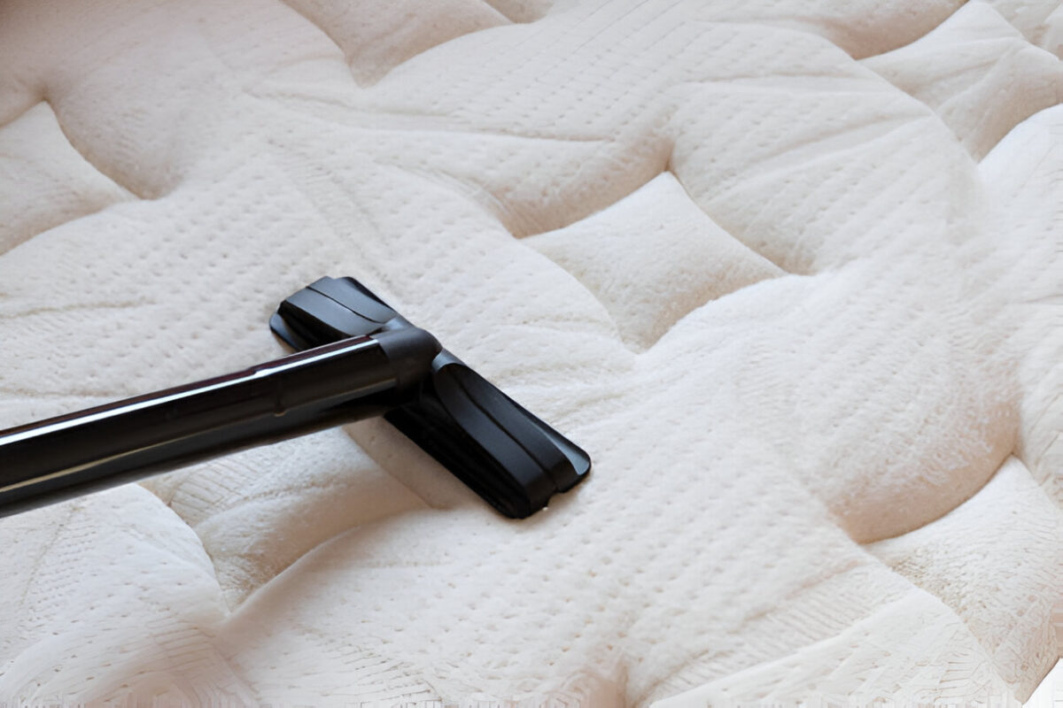 Ultimate Spring Allergy-Proofing Guide for Your Home in WA
