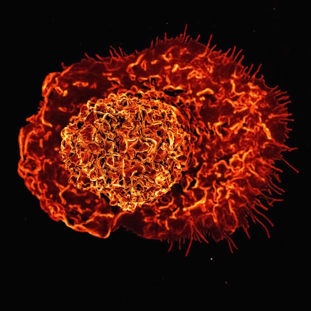 7 Holistic Approaches to Boost Your Immune System